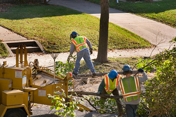 Leaf Removal in Webberville, MI